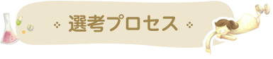 選考プロセス